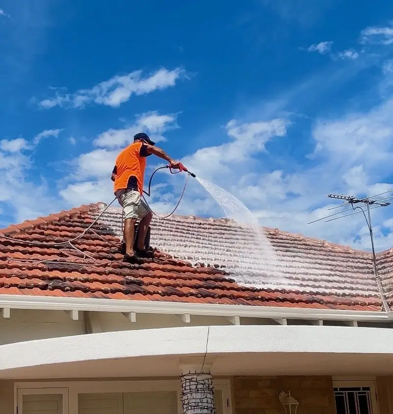 roof softwashing